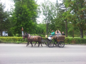 horse ride Tatras_1